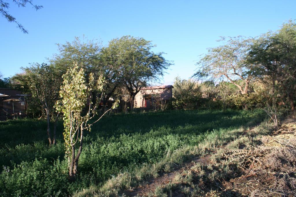 Quinta Adela Bed & Breakfast San Pedro de Atacama Dış mekan fotoğraf