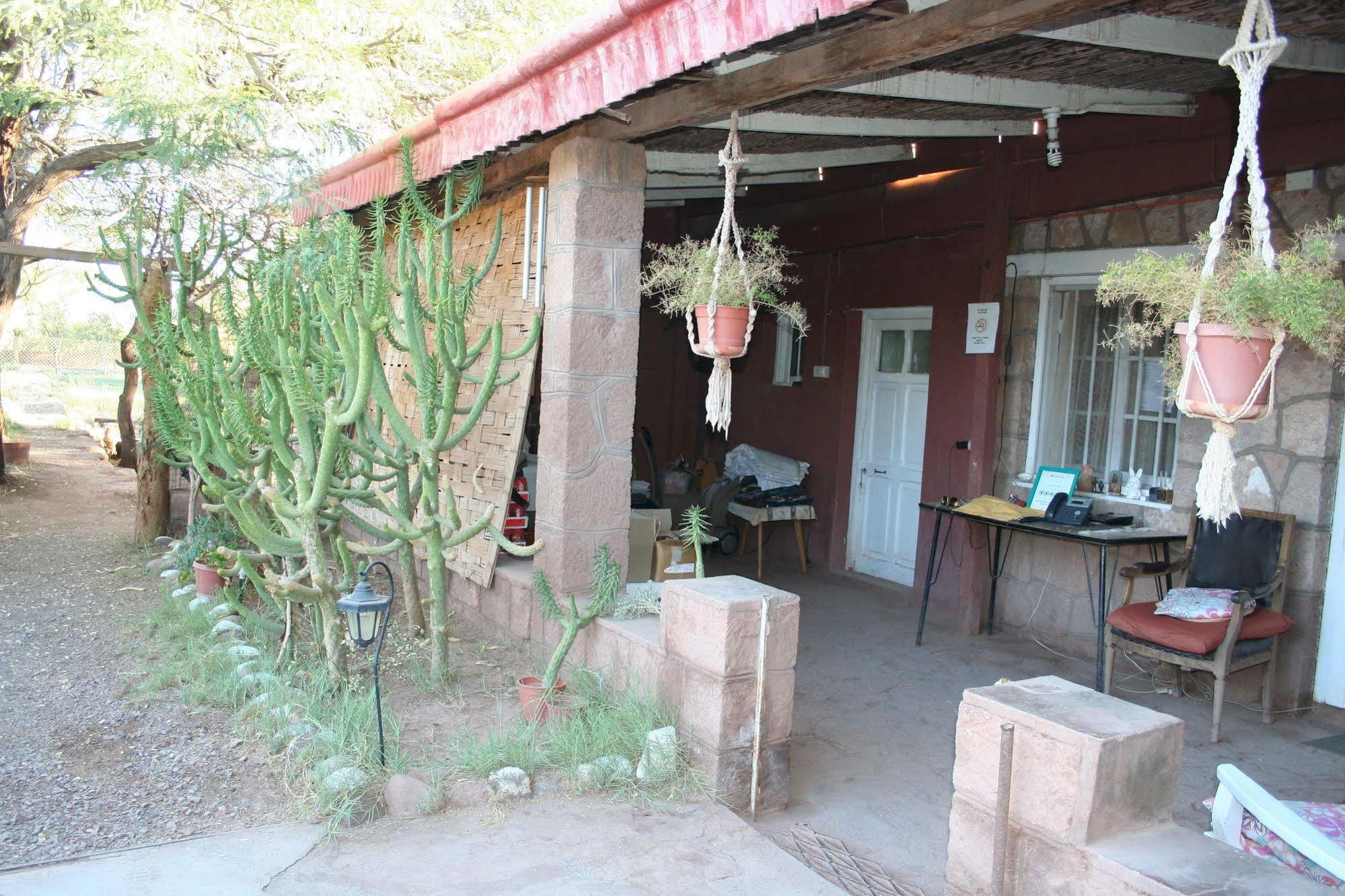 Quinta Adela Bed & Breakfast San Pedro de Atacama Dış mekan fotoğraf